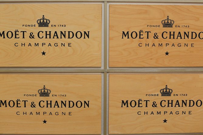 Champagne Day Trip with 6 Tastings, Reims and Winery from Paris - Walking the vineyards of Champagne-Ardenne