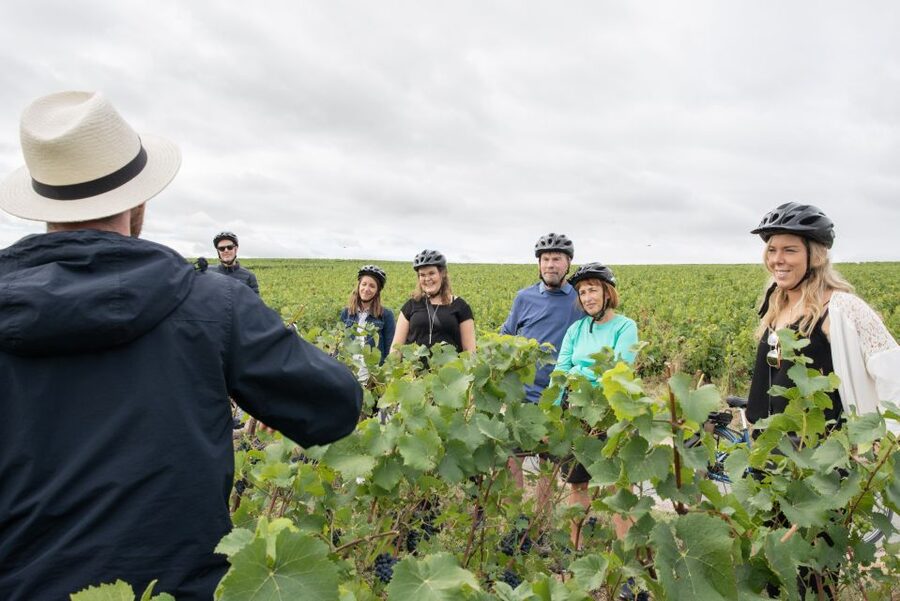 Champagne: E-Bike Champagne Day Tour with Tastings and Lunch - Practical details that improve the day