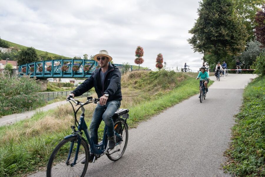 Champagne: E-Bike Champagne Day Tour with Tastings and Lunch - A Champagne lunch with regional specialties