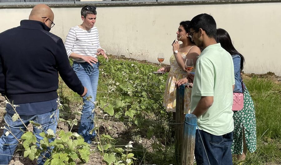 Champagne Munoz Bruneau : Half Day Visit and Tasting - Who will get the most from this visit?