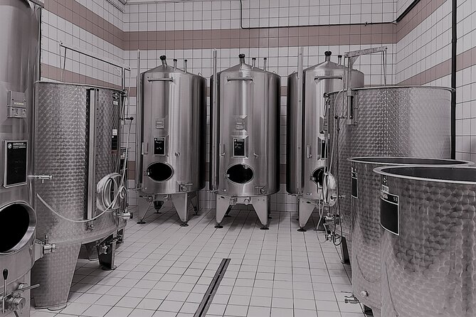 Champagne Munoz Bruneau : Half Day Visit and Tasting - From Épernay to Hautvillers by way of Champillon