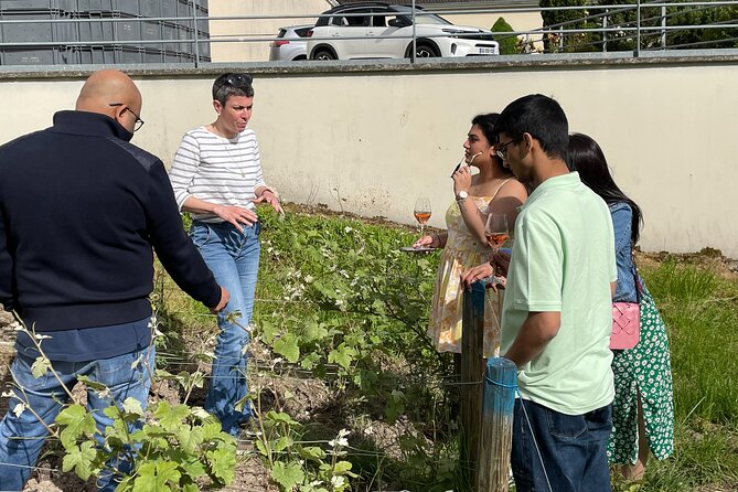 Champagne Munoz Bruneau : Half Day Visit and Tasting - Tasting three Champagnes at the estate