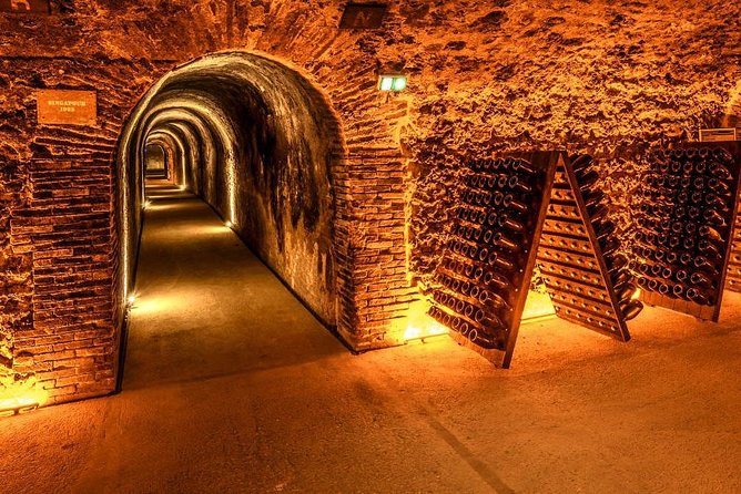 Champagne Small-Group Day Trip with Lunch and Tastings from Paris - Walking the Avenue de Champagne
