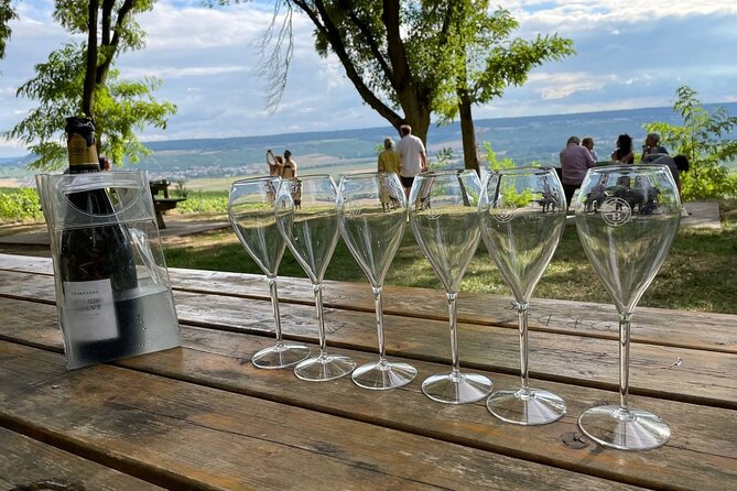 Champagne Small-Group Day Trip with Lunch and Tastings from Paris - The small producer visit