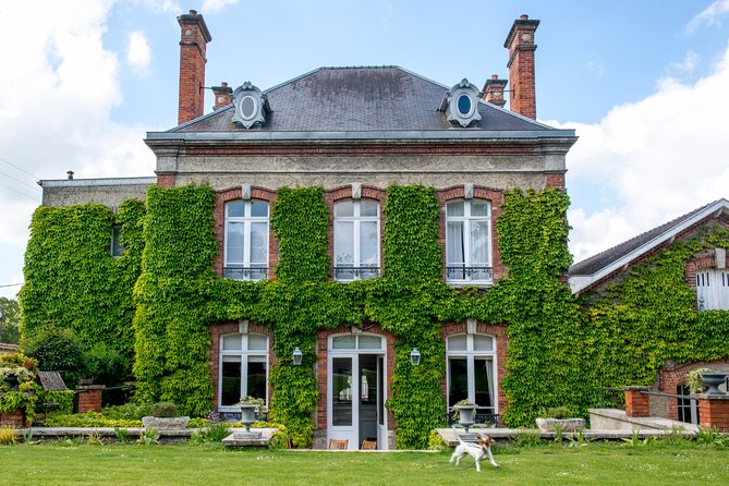 Champagne Tasting Class and Lunch near Epernay - Why this Champagne class works so well