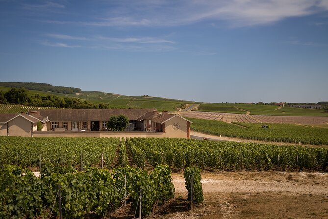 Champagne Tasting Tour Day Trip From Paris - A grand Champagne house and the logic of cellar visits