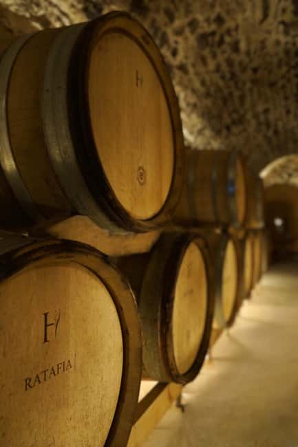 Champagne Vineyard Experience: Delve into the terroir - How the cellar explains Champagne production