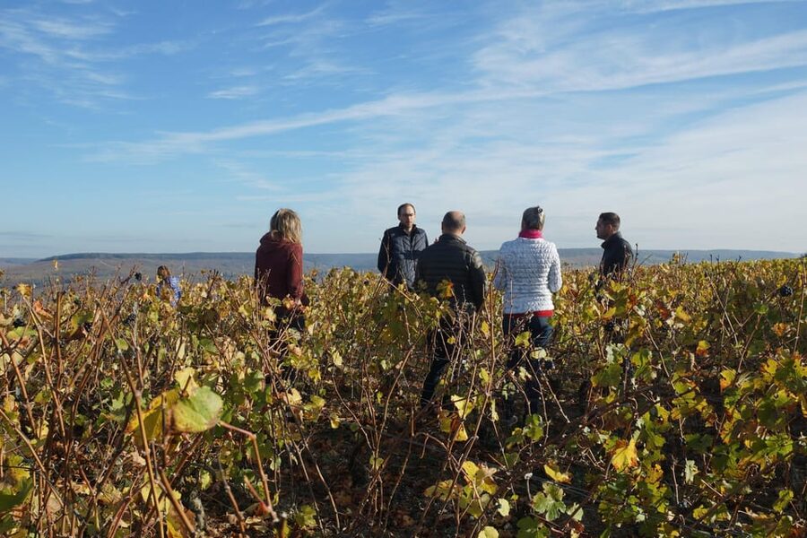 Champagne Vineyard Experience: Delve into the terroir - The final tasting: Champagne and Ratafia Champenois