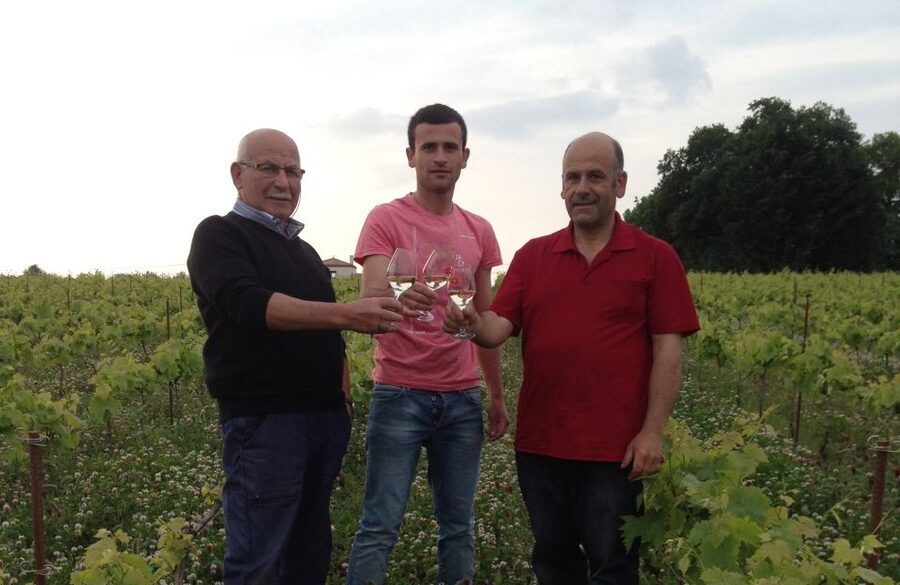 Château du Bois-Huaut: Cellar Tour and Wine Tasting Class - Walking through the vineyard