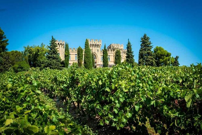 Chateauneuf du Pape wine tour - Why Châteauneuf-du-Pape works as a full-day wine lesson