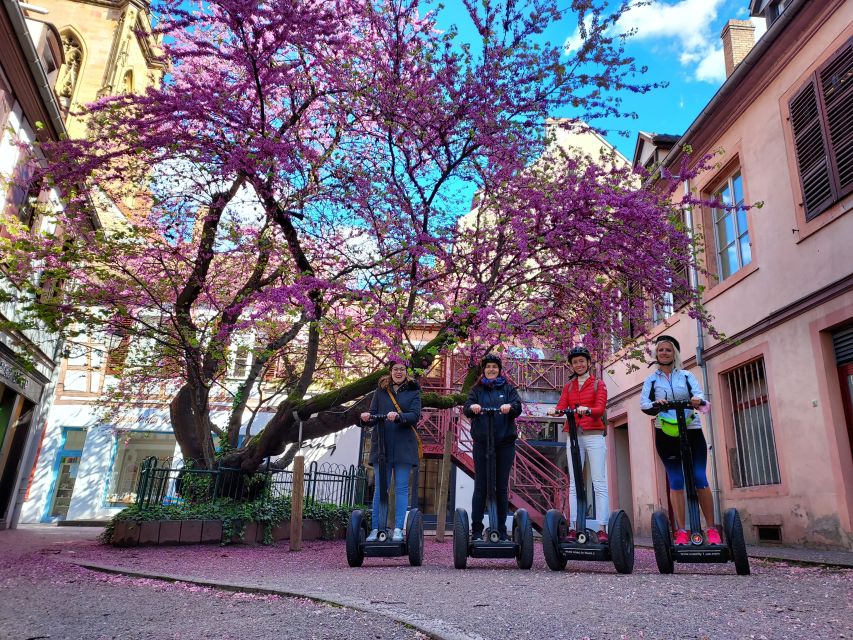 Colmar: 2-Hour Segway Tour - Who should take this tour