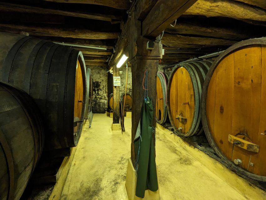 Colmar: Highlights Walking Tour and Wine Tasting - Key points to know before booking
