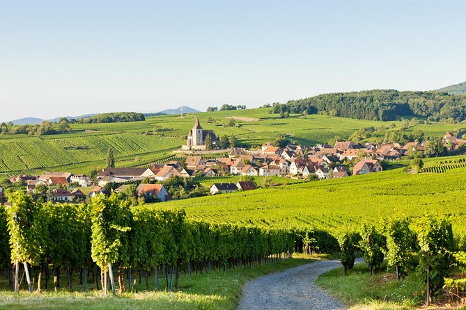 Colmar, Medieval Village & Castle Small Group from Strasbourg - Guides can make or break the experience