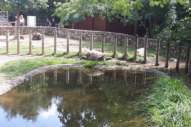 Corsica A Cupulatta Turtle Park Skip the Line Admission Ticket - What A Cupulatta is really about