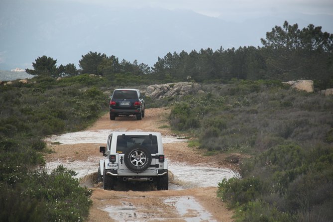 Corsica Extreme Sud Day 4X4 Excursions from Porto-Vecchio - What the guide adds to the day