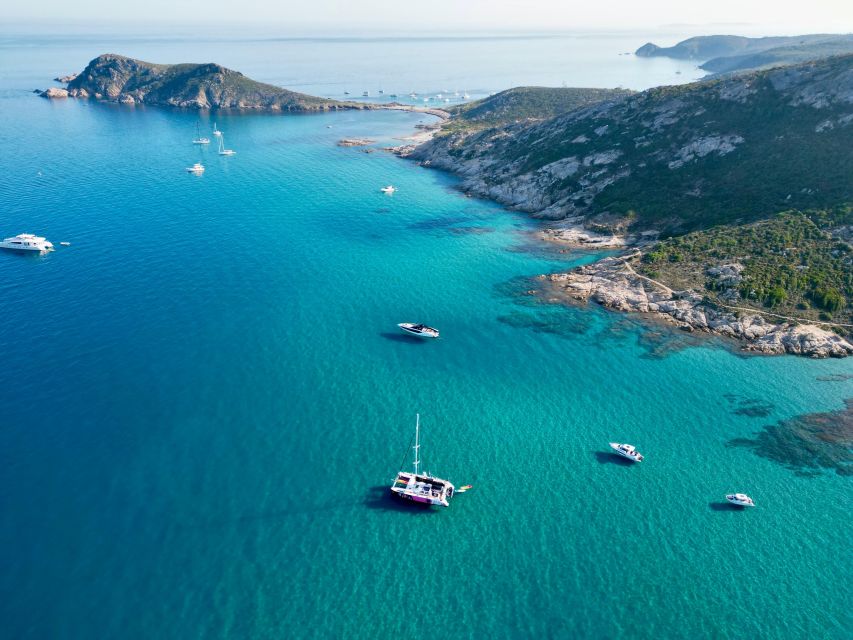 Côte d'Azur: Half-Day Coastline Catamaran Sailing Tour - Weather, comfort, and the crew