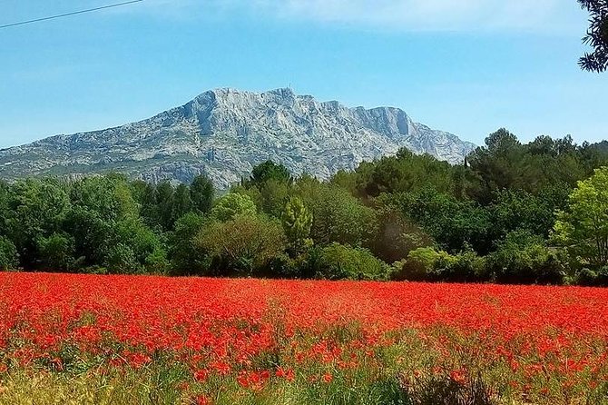 Cotes de Provence Wine Tour from Aix-en-Provence - Why this is a good introduction to Provençal wine