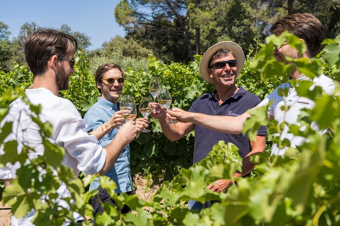Cotes de Provence Wine Tour from Aix-en-Provence - The small group changes the feel
