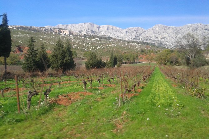 Cotes de Provence Wine Tour from Aix-en-Provence - Stop one: Mas de Cadenet and the first tasting