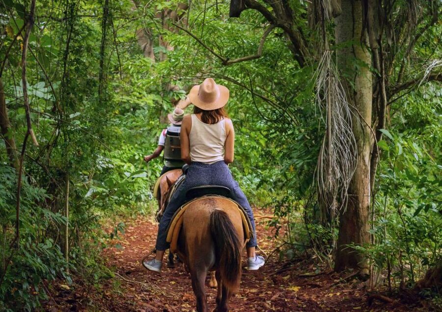 Cruseilles: Horseback Riding in the Countryside - Following the countryside trails for one hour