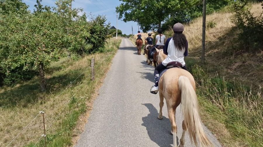 Cruseilles: Horseback Riding in the Countryside - The guide makes the difference