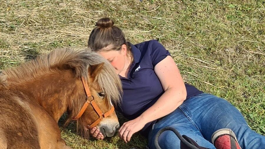 Cruseilles: Horseback Riding in the Countryside - Is $46 a fair price for one hour?