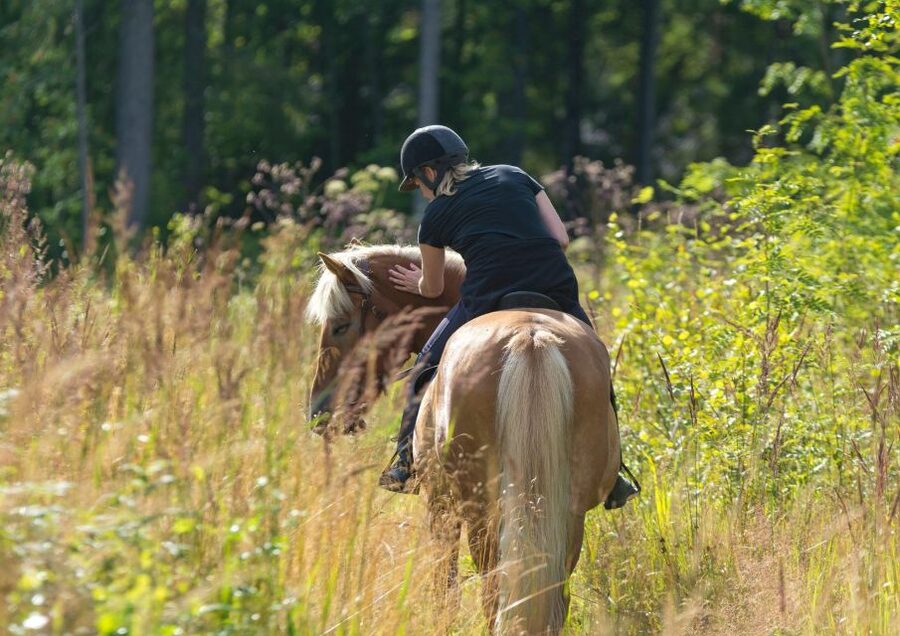Cruseilles: Horseback Riding in the Countryside - Who should book this Cruseilles horseback ride?
