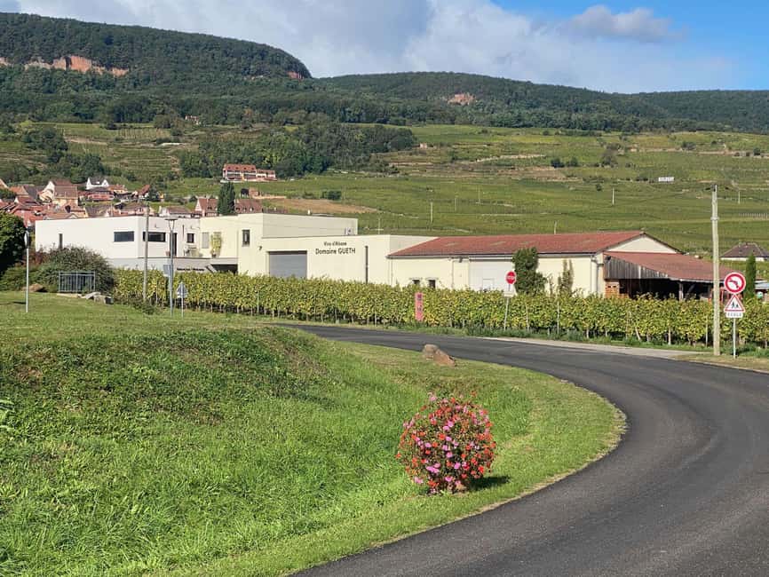 Dare to Alsace Wine with a Feminine Touch - Choosing seven organic wines