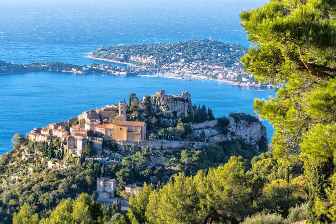 Day Trip: Guided tour of Monaco and Eze, sightseeing . - Notre-Dame-Immaculate Cathedral and the Grimaldi connection
