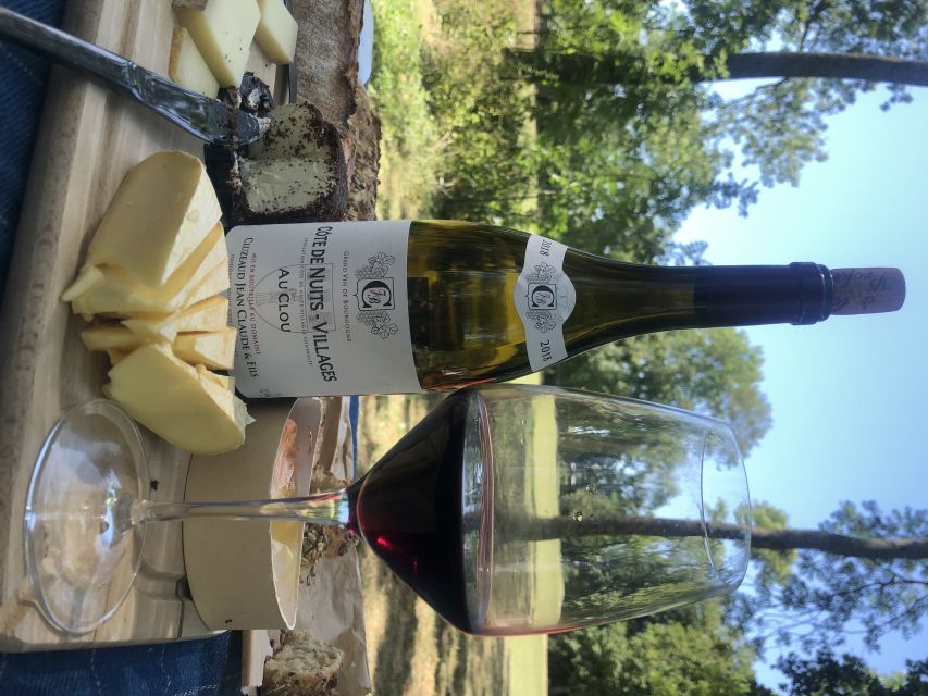 Dijon: Cheese and Burgundy Wine Tasting Workshop - What the strong praise tells you