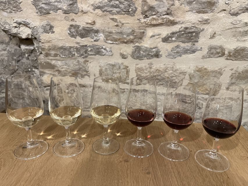 Dijon: Cheese and Burgundy Wine Tasting Workshop - Why the cheese pairings are the real lesson