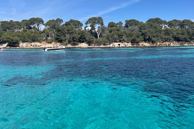 Discover the Lérins Islands and the Bay of Cannes by Private Boat - Lérins Islands and the underwater museum