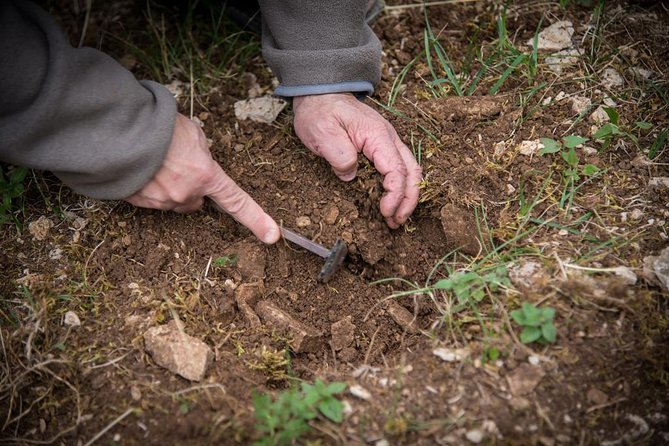 Discovery of the world of Truffles and tasting - A truffle lesson with a dog at the center