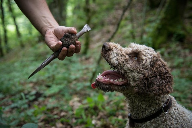 Discovery of the world of Truffles and tasting - What the opening presentation adds