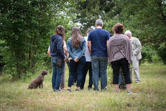 Discovery of the world of Truffles and tasting - Getting to Marey-lès-Fussey from Beaune
