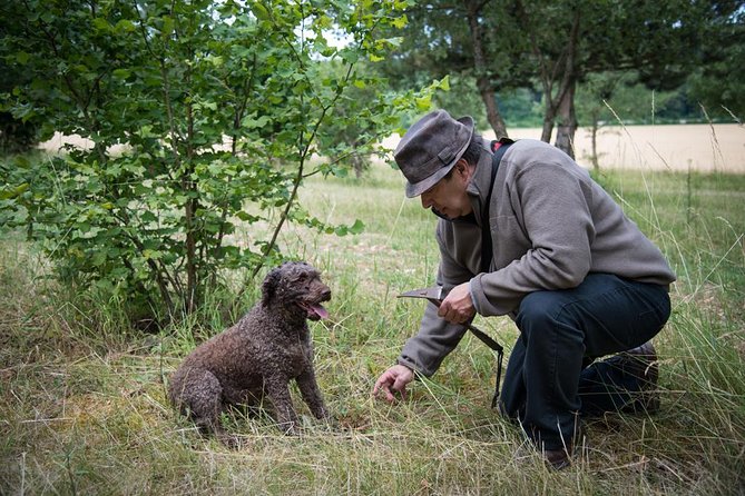 Discovery of the world of Truffles and tasting - Is this Beaune truffle tour worth booking?