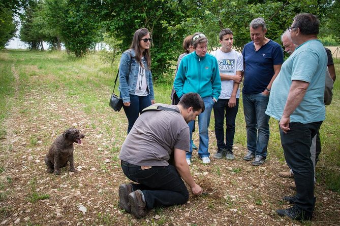 Discovery of the world of Truffles and tasting - Watching the dog search the demonstration area