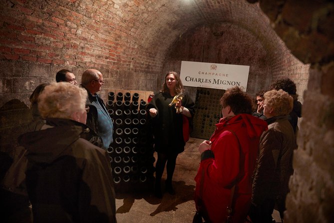 Discovery tour (2 tastings) - Following the grapes from soil to bottle