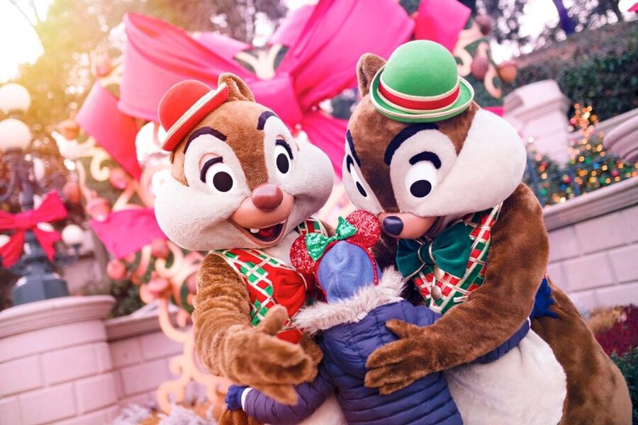 Disneyland® Paris Tickets for Train and Parks - Who will enjoy this package most?