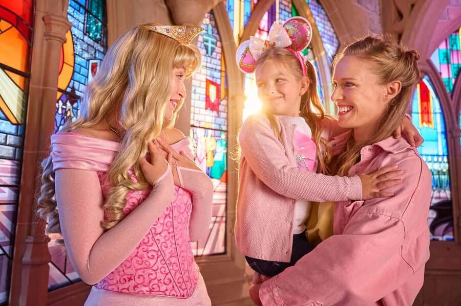 Disneyland® Paris Tickets for Train and Parks - Small details that can save your day