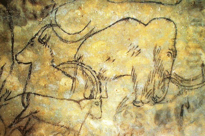 Dordogne Day Tour : Prehistory and The Art of the Caves from Sarlat - Key points to know before booking