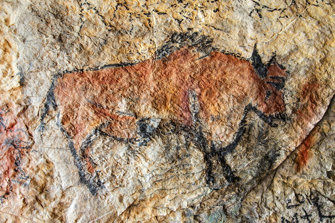 Dordogne Day Tour : Prehistory and The Art of the Caves from Sarlat - Small-group guiding and the value of $199.55