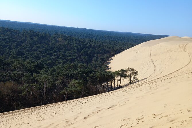Dune du Pilat and Oysters Tasting in only 1 hour away from Bordeaux ! What else? - Arcachon gives the afternoon a slower pace