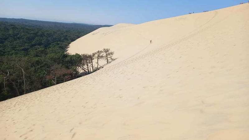 Dune du Pilat, Oysters Tasting and Arcachon! What else ? - From Bordeaux to the Dune du Pilat