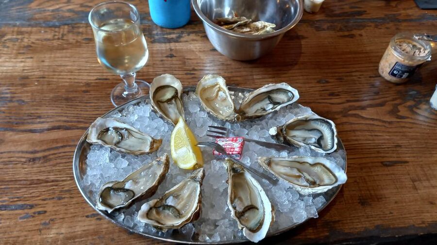 Dune du Pilat, Oysters Tasting and Arcachon! What else ? - Arcachon: one hour for beach time and old villas