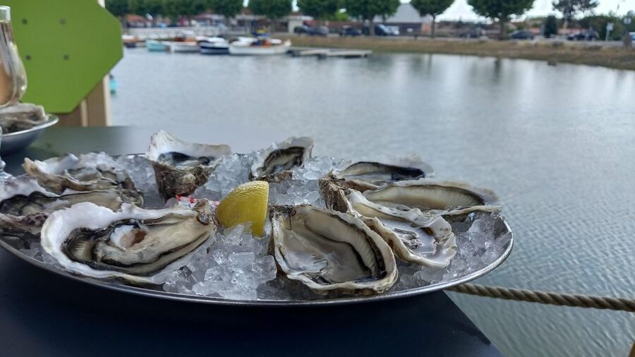 Dune du Pilat, Oysters Tasting and Arcachon! What else ? - What the $148 price really covers