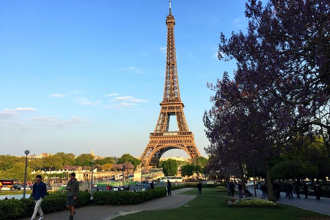Eiffel Tower Elevator Tour with Optional Summit & Cruise Access - Who should book this Paris visit