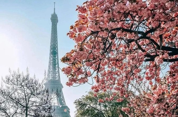 Eiffel Tower Guided Access up to the 2nd Floor or Summit by Lift - How much value do you get for $66.28?