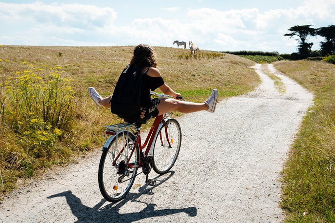 Electric bike excursion in Camargue - A working visit with Camargue bulls and horses