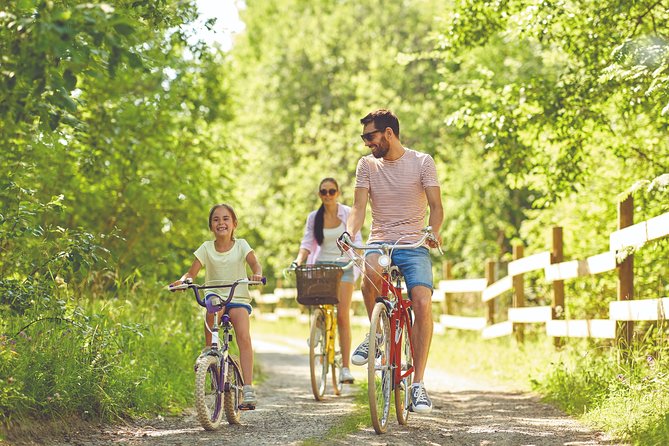 Electric bike excursion in Camargue - The regional snack stop